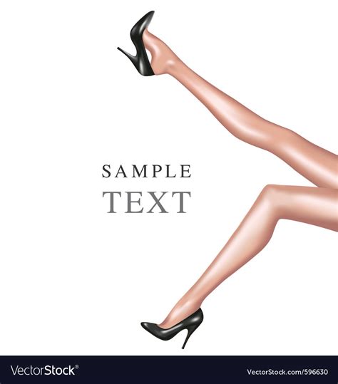 sexy woman legs royalty free vector image vectorstock