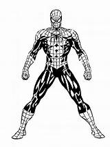 Ragno Intera Spiderman Animati Cartoni Stampare sketch template