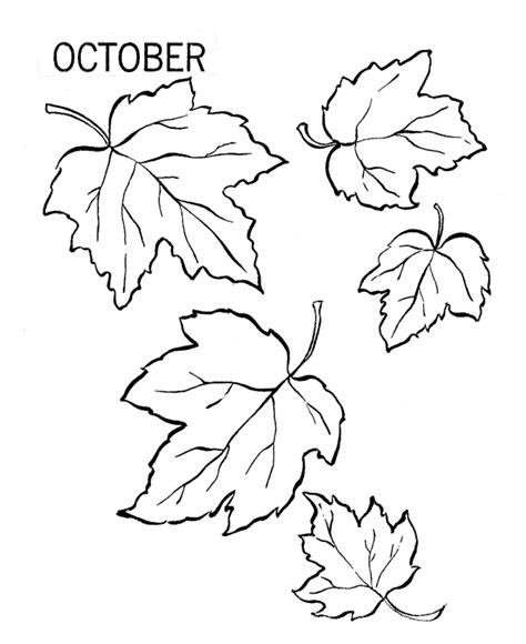 coloring pages  leaf shapes