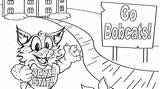 Bobcats Bobcat sketch template