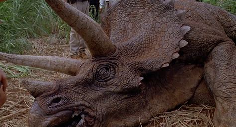 triceratops jurassic park  lost world jurassic park