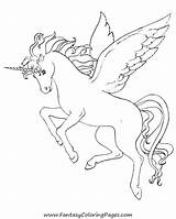 Einhorn Pegasus Horn Pferde Azcoloring Malvorlagen sketch template