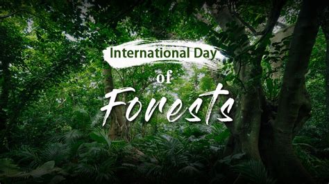 today  international day  forest heartbeat   east