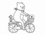 Bear Bicycle Riding Coloring Coloringcrew sketch template
