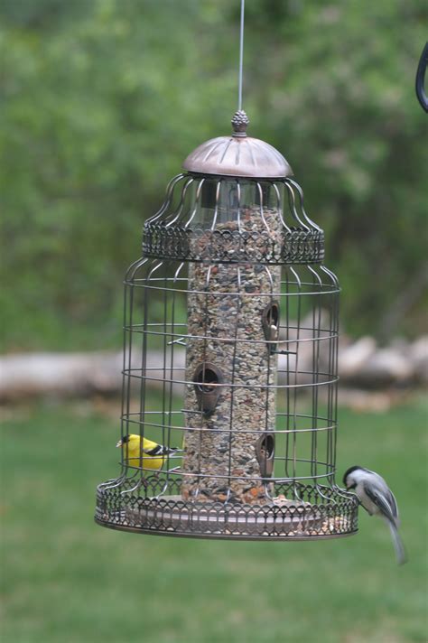 chickadee    bird feeders outdoor decor decor