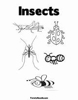 Printable Insect Coloring Insects Pages Colouring Parts Body Worksheet Print Kids Printablee Sheets Label Via Legs Worksheets Choose Board sketch template