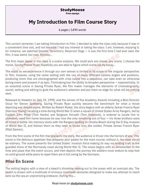 My Introduction To Film Course Story Free Essay Example