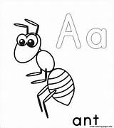 Ant Coloring Pages Kids Printable Alphabet Color Man Print Template Drawing Ants Slender Preschool Book Cartoon Queen Grasshopper Anthill Coloringbay sketch template