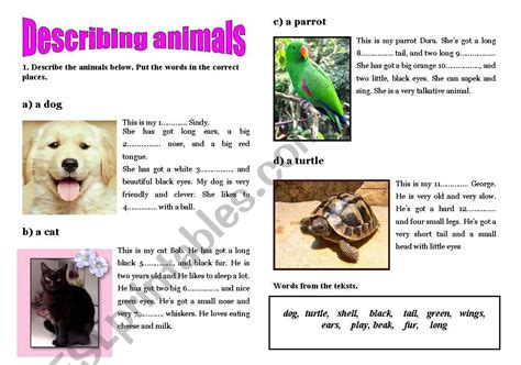 description  animals esl worksheet  anniar