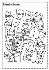 Flowers Colour Worksheet Worksheets Esl Preview Vocabulary sketch template