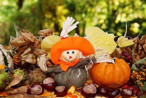 vogelscheuche herbst kuerbis kastanien lizenzfreie fotos bilder