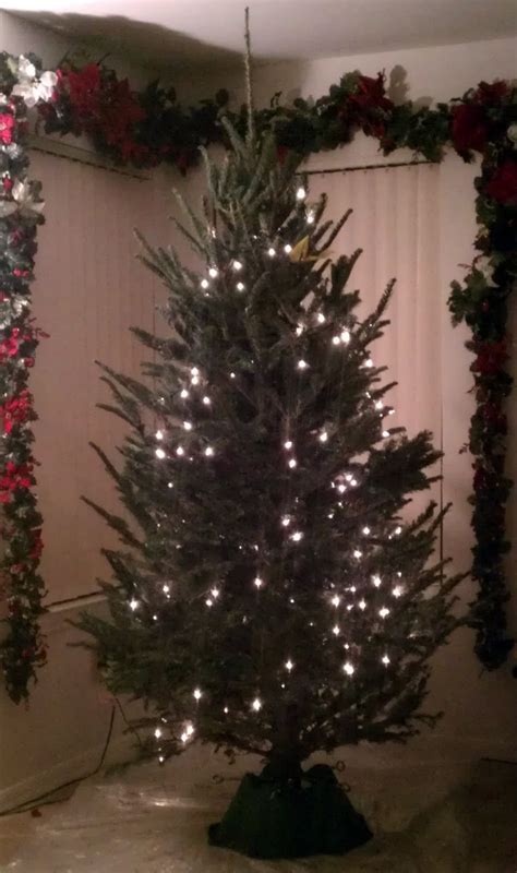 The Art Of Lighting A Christmas Tree Vertical Vs Horizontal