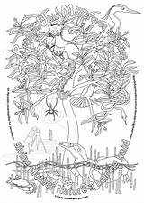 Colouring Rum Sheets Mangroves Sheet sketch template
