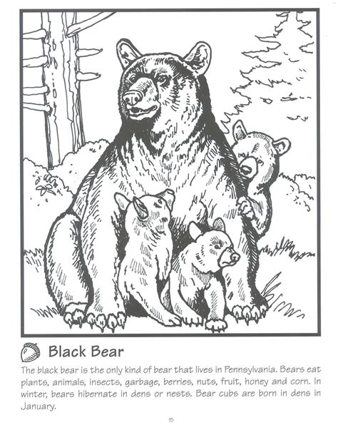 black bear bear coloring pages animal coloring books animal