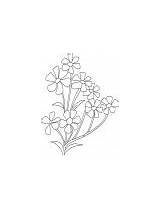 Babys Breath Flower Small Coloring Bouquet sketch template