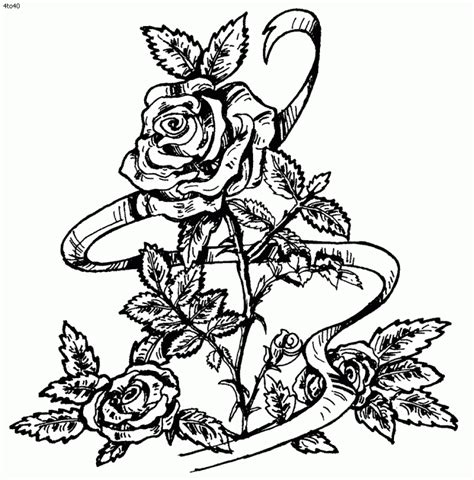 printable adult coloring pages rose coloring pages