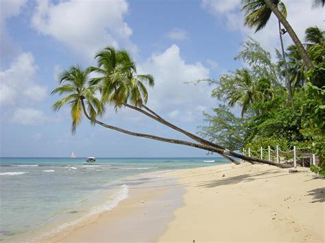 north traveller caribean barbados mullins beach 1