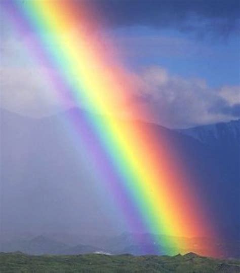 images  real rainbows  pinterest pictures  dodger