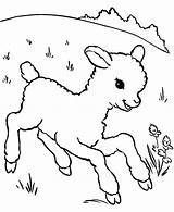 Coloring Pages Lamb Getdrawings Baby Meadow sketch template