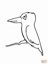 Colorare Pescatore Kingfisher sketch template
