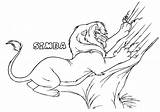 Lion King Simba Coloring Pages Tree Young Scratching Feel sketch template