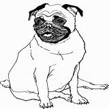 Pug Coloring Pages Printable Drawing Line Baby Getcolorings Color Christmas Puppy Getdrawings sketch template