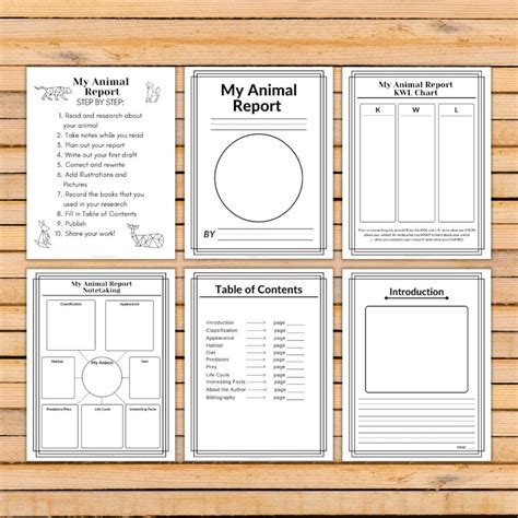 animal research report printable   st  etsy