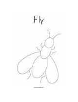 Fly Coloring Template Change sketch template