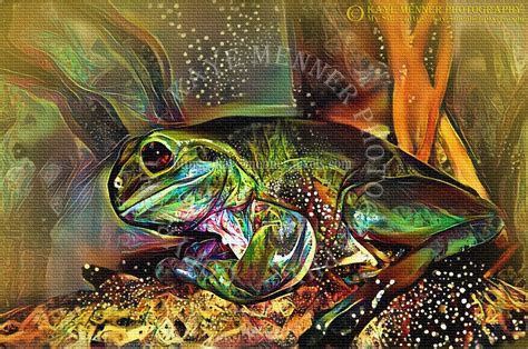 frog art by kaye menner kaye menner tags frogart frog
