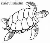 Turtle Sea Coloring Pages Loggerhead Shell Drawing Realistic Printable Color Leatherback Green Snapping Cute Turtles Hawaiian Kids Printables Getdrawings Getcolorings sketch template