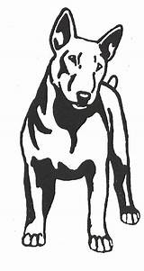 Terrier Bull Drawing English Stencil Silhouette Dogstampsplus Outline Bullterrier Patterns Dog Coloring Stencils Gif Clipartmag sketch template