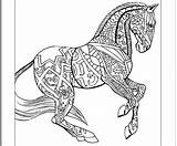 Hard Getcolorings Horses Zentangle Inhabit sketch template