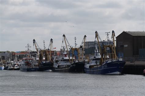 geen conflict tussen vissers urk en ijmuiden rtv seaport