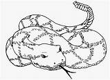 Rattlesnake Sheets Educativeprintable sketch template