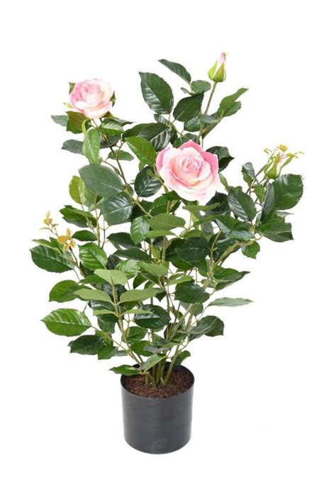 Artificial Rose Bush Pink 60cm The Artificial Plants Shop