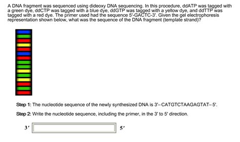 solved dna fragment  sequenced  dideoxy dna seque cheggcom
