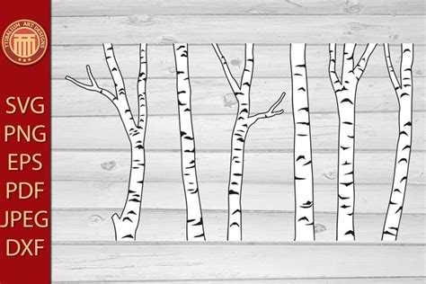 Birch Tree Forest Eps  Dxf Svg Pdf Png Files