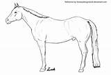 Horse Quarter Lineart Deviantart Ievent sketch template