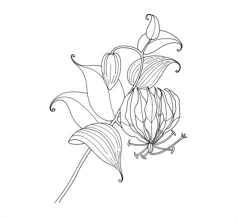 flower coloring pages   ai