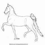 Saddlebred Ievent Lines sketch template