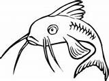 Catfish Coloring Clipart Cartoon Drawings Pages Drawing Clip Super Cliparts Fish Printable Clipartbest sketch template