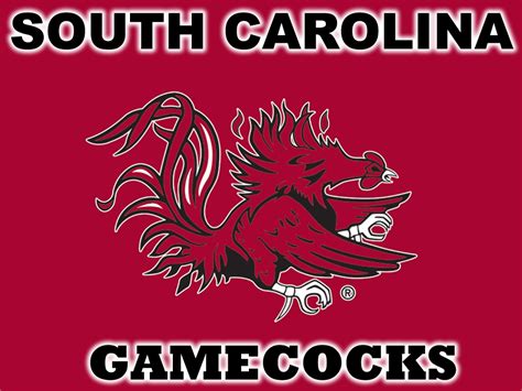 South Carolina Gamecocks Football Wallpapers Wallpapersafari