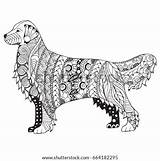 Golden Retriever Zentangle Dog Vector Stylized Shutterstock Pencil Illustration Stock Coloring Pattern Adult Stress Anti Preview Book sketch template