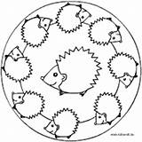 Igel Kidsweb Mandalas Ausdrucken Gewünscht sketch template