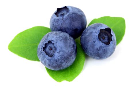 blueberry benefits