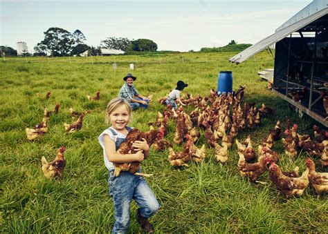 family farm succession  subtle  critical mix  emotion  money