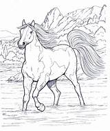 Animali Cavallo sketch template