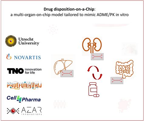 drug disposition  chip multi organ chip  mimic adme  vitro