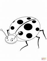 Coccinelle Ladybug Colorare Disegno Ausmalbilder Coccinella Marienkäfer sketch template