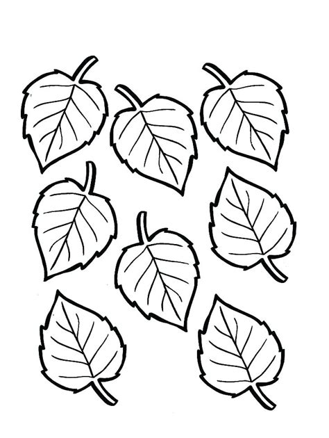 fall leaves clip art coloring pages  getdrawings